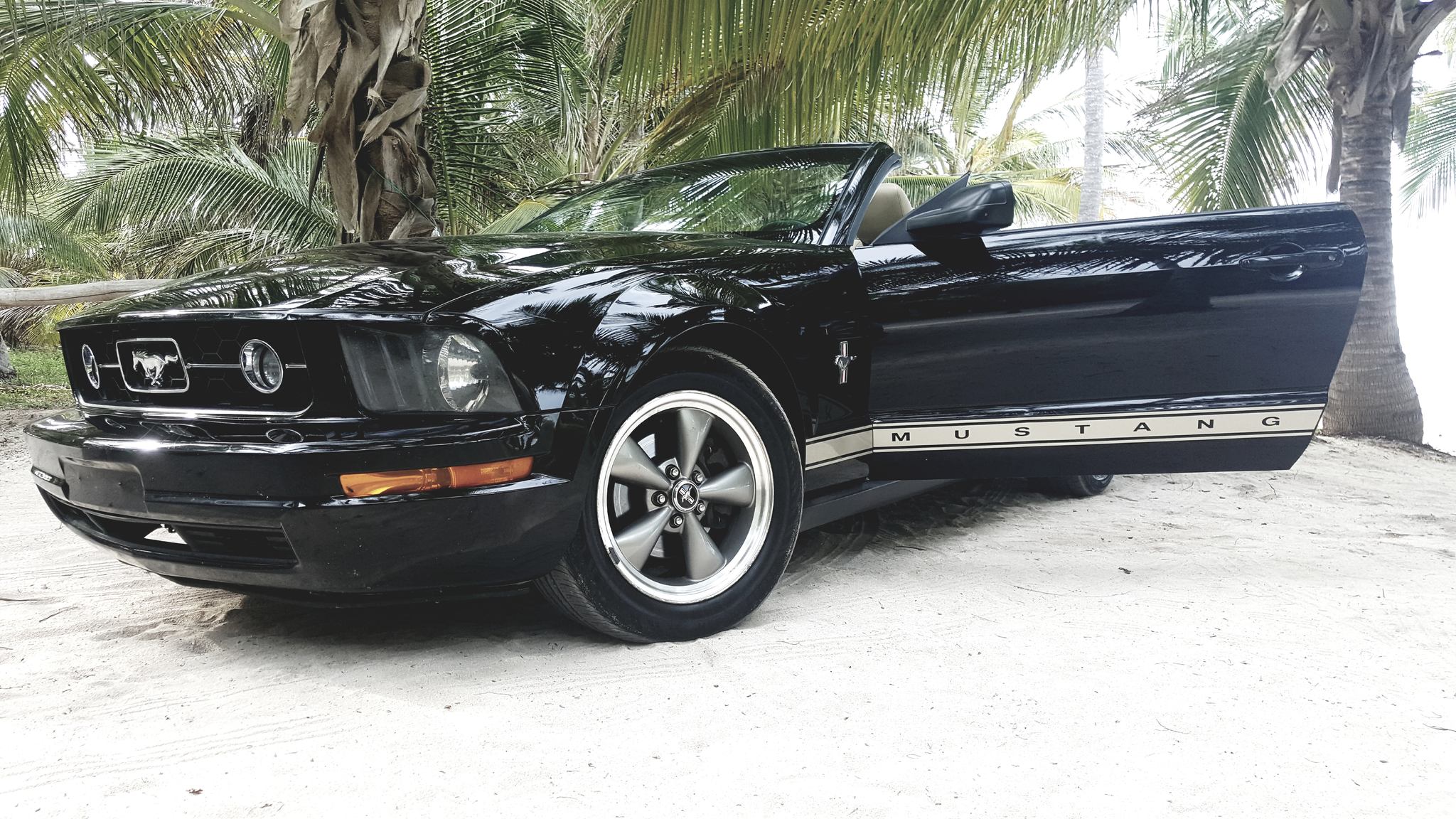 Ford Mustang Black Pearl